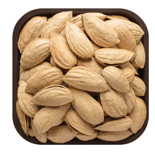 citynutsonline