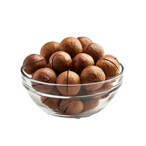 Macadamia Inshell