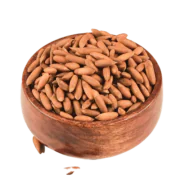 Pine seed Inshell